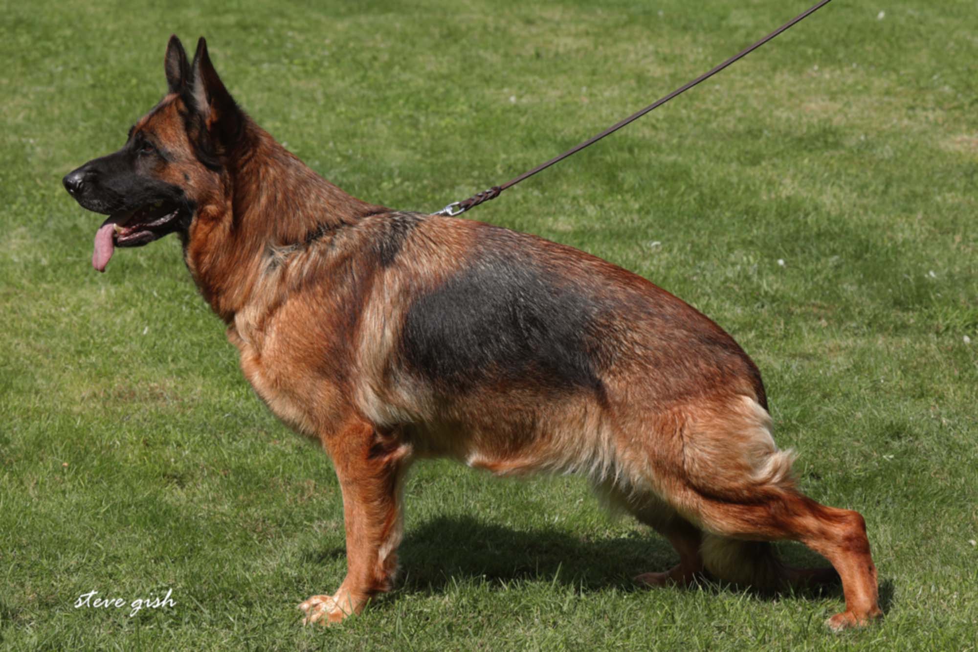 Kimba vom Team Baierblick